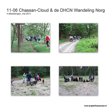 DHCN wandeling met een aantal nakomelingen zoals Cloud, Hector, Sifra, Khes en Dumaj